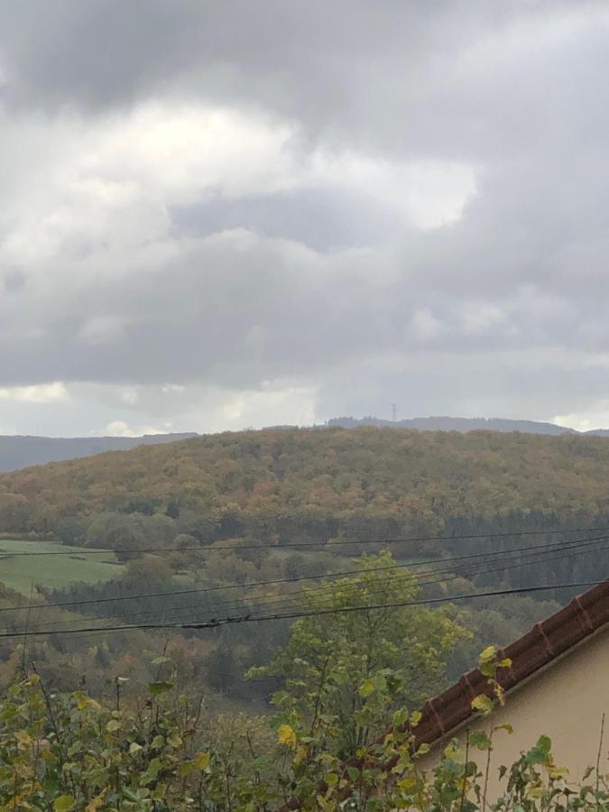 Ferme Fleurie Bed & Breakfast Bergesserin Eksteriør bilde