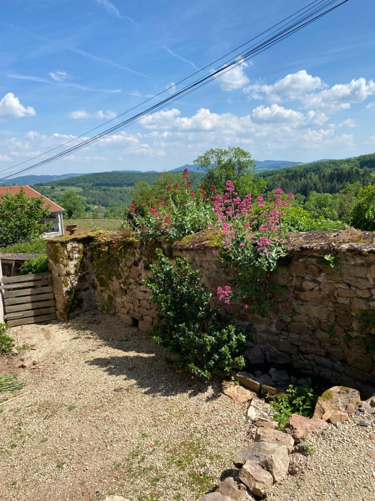 Ferme Fleurie Bed & Breakfast Bergesserin Eksteriør bilde